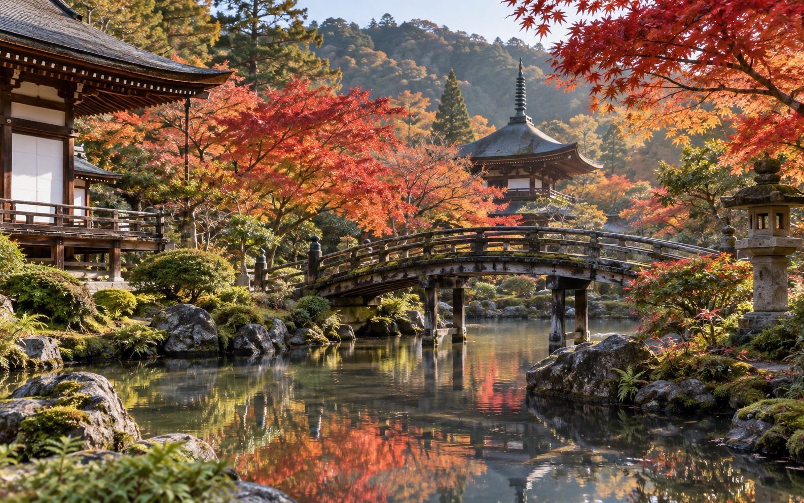 京都庭院的枫叶秋色